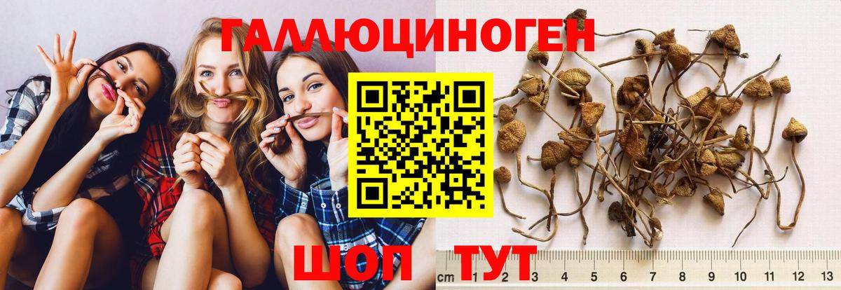 наркошоп  Вход с VPN  Мценск  Псилоцибиновые грибы ЛСД 
